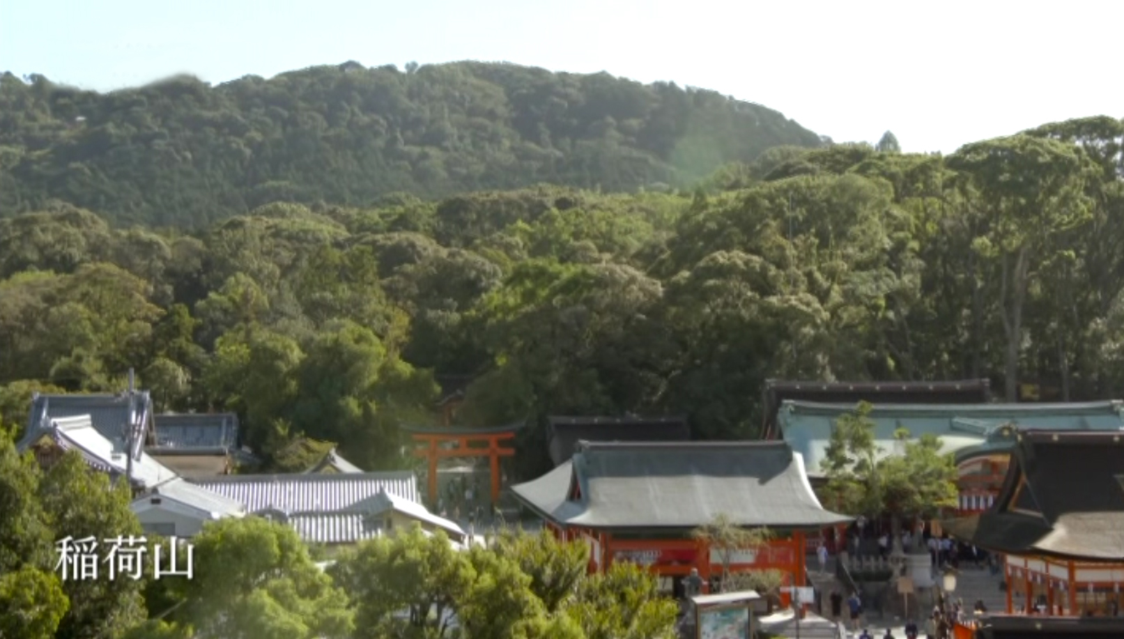 稲荷山と境内