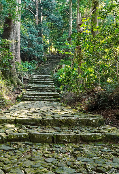 旅路が修行そのものだった熊野詣