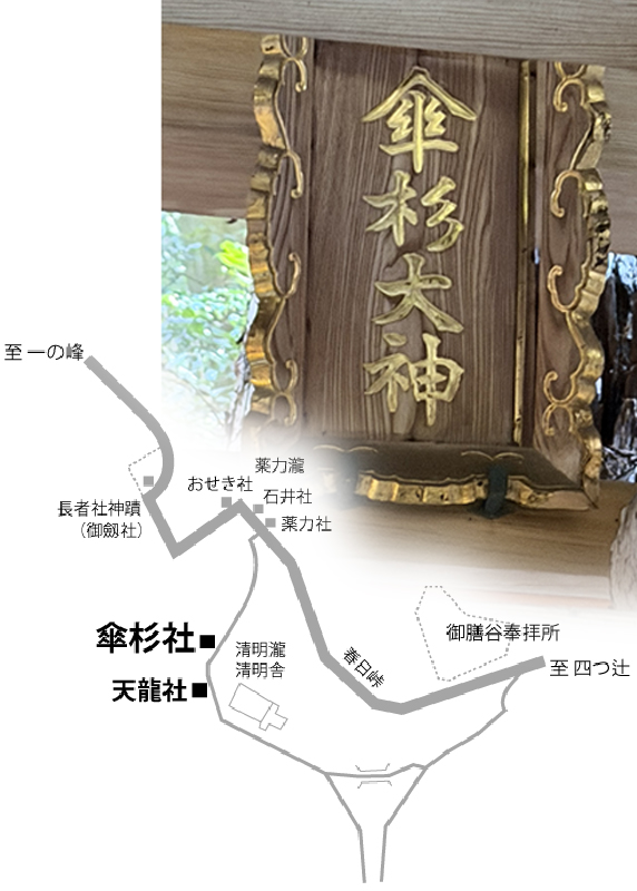傘杉さんへの地図